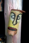 IMG_1069.jpg
