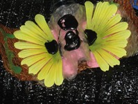 BICHOS-ARBOL-AULA-009.jpg