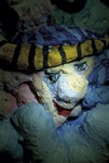 053.jpg