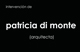 intervenci�n de patricia di monte  (arquitecta) del 24 de abril al 9 de mayo