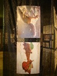 marg�-venegas-012.jpg