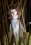 IMG_1186.jpg