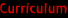 Curr&iacute;culum